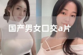 国产在线a片,揭秘国内A片产业的秘密与现状