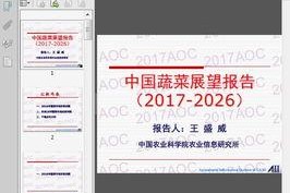 国产27页,深度解析中国电影产业的新篇章